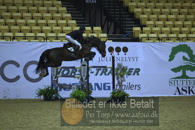 Showjumping
stutteri ask 3 medium tour 145cm
Nøgleord: lars bak andersen;3q oira