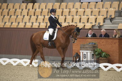 Blue Hors Para Dressur 2018
Billeder fra stævnet
Nøgleord: Anita johnsson;dear friend