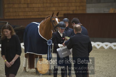 Blue Hors Para Dressur 2018
Billeder fra stævnet
Nøgleord: katrine kristensen