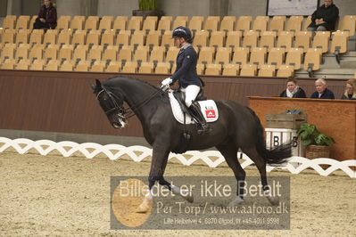Blue Hors Para Dressur 2018
Billeder fra stævnet
Nøgleord: rixt van der horst;uniek