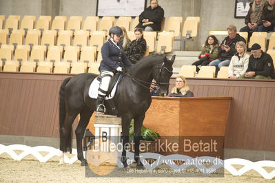 Blue Hors Para Dressur 2018
Billeder fra stævnet
Nøgleord: yvette overgoor;flynn