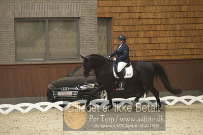 Blue Hors Para Dressur 2018
Billeder fra stævnet
Nøgleord: yvette overgoor;flynn