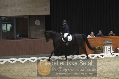 Blue Hors Para Dressur 2018
Billeder fra stævnet
Nøgleord: yvette overgoor;flynn