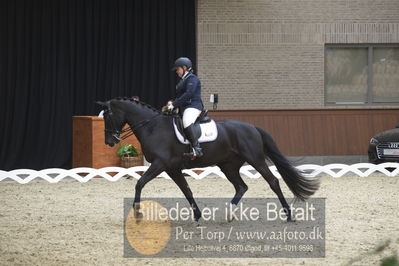 Blue Hors Para Dressur 2018
Billeder fra stævnet
Nøgleord: yvette overgoor;flynn