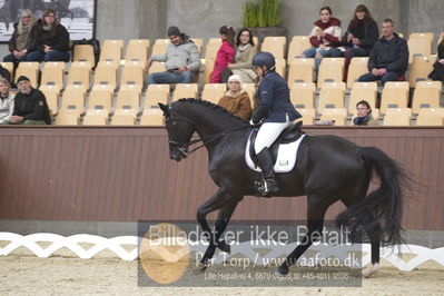 Blue Hors Para Dressur 2018
Billeder fra stævnet
Nøgleord: yvette overgoor;flynn