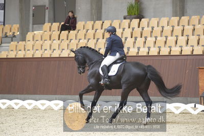 Blue Hors Para Dressur 2018
Billeder fra stævnet
Nøgleord: yvette overgoor;flynn