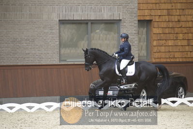 Blue Hors Para Dressur 2018
Billeder fra stævnet
Nøgleord: yvette overgoor;flynn