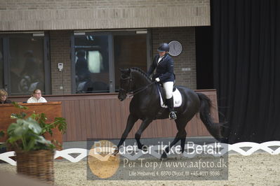 Blue Hors Para Dressur 2018
Billeder fra stævnet
Nøgleord: yvette overgoor;flynn