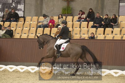 Blue Hors Para Dressur 2018
Billeder fra stævnet
Nøgleord: caroline cecilie nielsen;davidorff 188