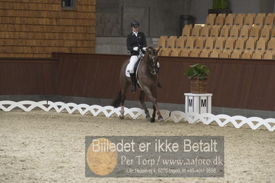 Blue Hors Para Dressur 2018
Billeder fra stævnet
Nøgleord: caroline cecilie nielsen;davidorff 188