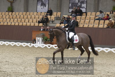 Blue Hors Para Dressur 2018
Billeder fra stævnet
Nøgleord: caroline cecilie nielsen;davidorff 188