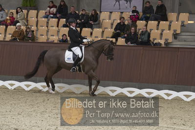 Blue Hors Para Dressur 2018
Billeder fra stævnet
Nøgleord: caroline cecilie nielsen;davidorff 188