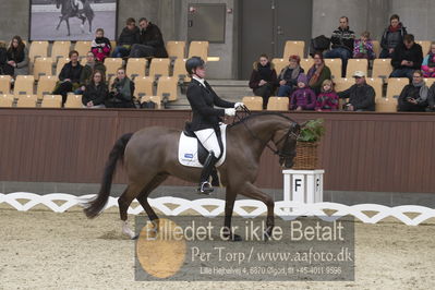 Blue Hors Para Dressur 2018
Billeder fra stævnet
Nøgleord: caroline cecilie nielsen;davidorff 188