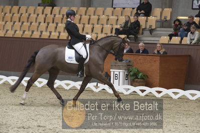 Blue Hors Para Dressur 2018
Billeder fra stævnet
Nøgleord: caroline cecilie nielsen;davidorff 188