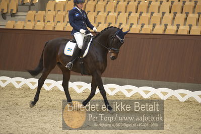 Blue Hors Para Dressur 2018
Billeder fra stævnet
Nøgleord: Carolin ruthberg;mirage