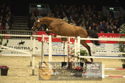 Dansk varmblod hingstekåring.
Løsspringning 3 års hingste
Nøgleord: vong&#039;s brunello