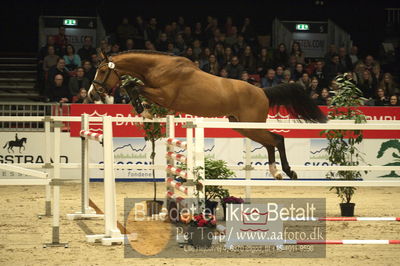 Dansk varmblod hingstekåring.
Løsspringning 3 års hingste
Nøgleord: vong&#039;s brunello