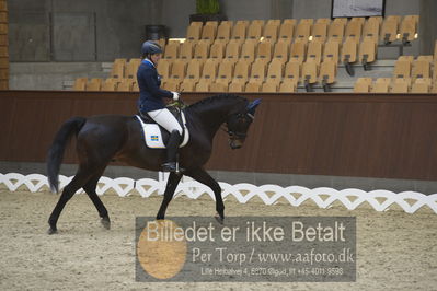 Blue Hors Para Dressur 2018
Billeder fra stævnet
Nøgleord: Carolin ruthberg;mirage