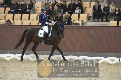 Blue Hors Para Dressur 2018
Billeder fra stævnet
Nøgleord: Carolin ruthberg;mirage