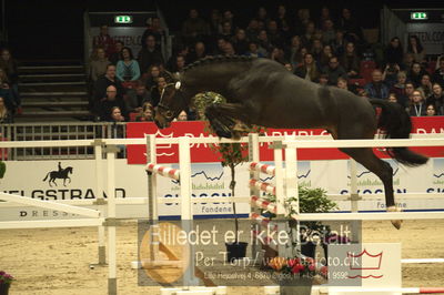 Dansk varmblod hingstekåring.
Løsspringning 3 års hingste
Nøgleord: cassado