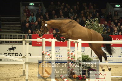 Dansk varmblod hingstekåring.
Løsspringning 3 års hingste
Nøgleord: kannantos