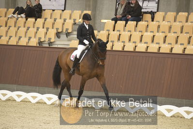 Blue Hors Para Dressur 2018
Billeder fra stævnet
Nøgleord: anita hennie johnsen;lindegaard lucky