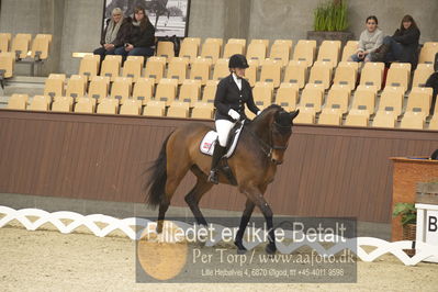 Blue Hors Para Dressur 2018
Billeder fra stævnet
Nøgleord: anita hennie johnsen;lindegaard lucky