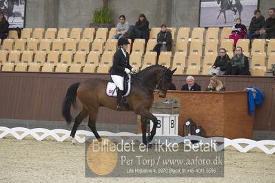 Blue Hors Para Dressur 2018
Billeder fra stævnet
Nøgleord: anita hennie johnsen;lindegaard lucky