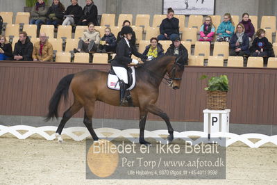 Blue Hors Para Dressur 2018
Billeder fra stævnet
Nøgleord: anita hennie johnsen;lindegaard lucky