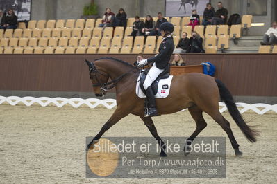 Blue Hors Para Dressur 2018
Billeder fra stævnet
Nøgleord: tine rise thomsen;landiano