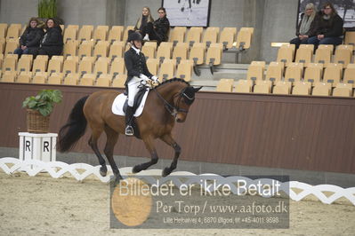 Blue Hors Para Dressur 2018
Billeder fra stævnet
Nøgleord: tine rise thomsen;landiano