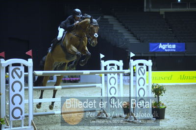 Showjumping
stutteri ask 3 medium tour 145cm
Nøgleord: hans  ley;quincy rold