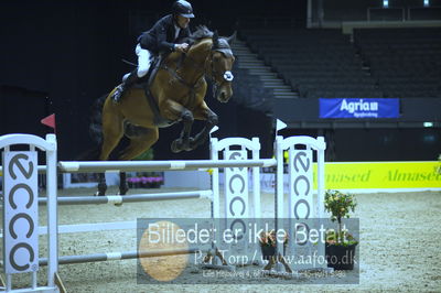 Showjumping
stutteri ask 3 medium tour 145cm
Nøgleord: hans  ley;quincy rold