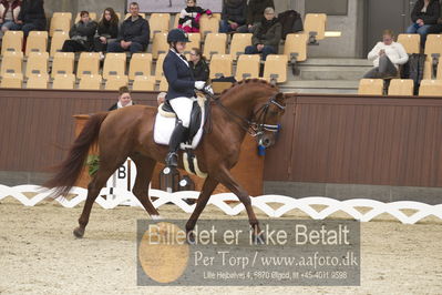 Blue Hors Para Dressur 2018
Billeder fra stævnet
Nøgleord: r