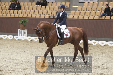 Blue Hors Para Dressur 2018
Billeder fra stævnet
Nøgleord: r