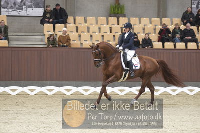 Blue Hors Para Dressur 2018
Billeder fra stævnet
Nøgleord: r