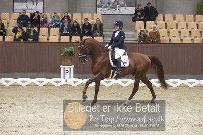 Blue Hors Para Dressur 2018
Billeder fra stævnet
Nøgleord: r