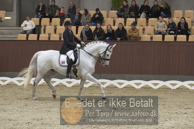 Blue Hors Para Dressur 2018
Billeder fra stævnet
Nøgleord: ann katrine lübbe;salento v