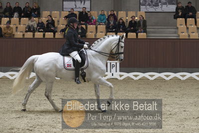 Blue Hors Para Dressur 2018
Billeder fra stævnet
Nøgleord: ann katrine lübbe;salento v