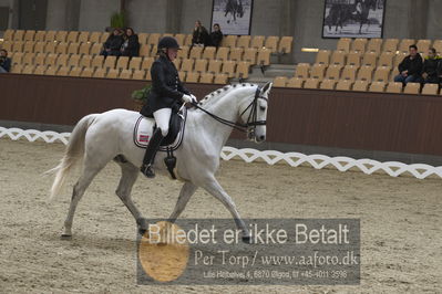 Blue Hors Para Dressur 2018
Billeder fra stævnet
Nøgleord: ann katrine lübbe;salento v