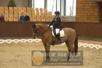 Blue Hors Para Dressur 2018
Billeder fra stævnet
Nøgleord: louise etzner jacobseb;znardermillo