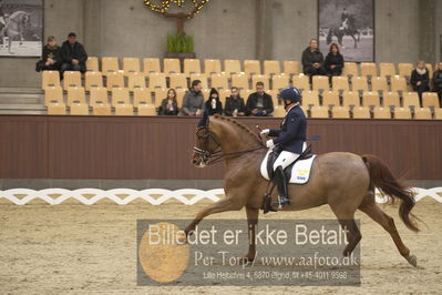 Blue Hors Para Dressur 2018
Billeder fra stævnet
Nøgleord: louise etzner jacobseb;znardermillo