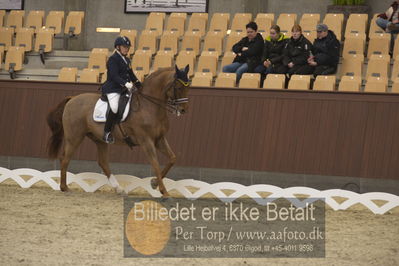 Blue Hors Para Dressur 2018
Billeder fra stævnet
Nøgleord: louise etzner jacobseb;znardermillo