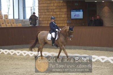Blue Hors Para Dressur 2018
Billeder fra stævnet
Nøgleord: louise etzner jacobseb;znardermillo