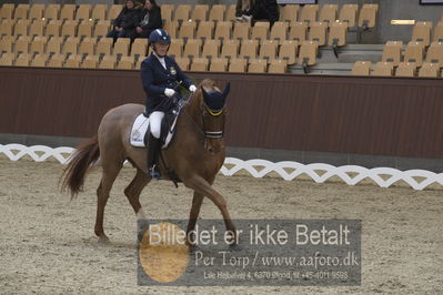 Blue Hors Para Dressur 2018
Billeder fra stævnet
Nøgleord: louise etzner jacobseb;znardermillo