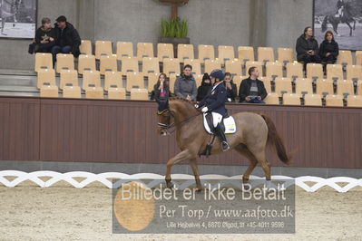 Blue Hors Para Dressur 2018
Billeder fra stævnet
Nøgleord: louise etzner jacobseb;znardermillo