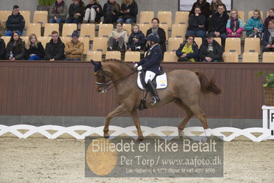 Blue Hors Para Dressur 2018
Billeder fra stævnet
Nøgleord: louise etzner jacobseb;znardermillo