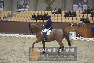 Blue Hors Para Dressur 2018
Billeder fra stævnet
Nøgleord: louise etzner jacobseb;znardermillo