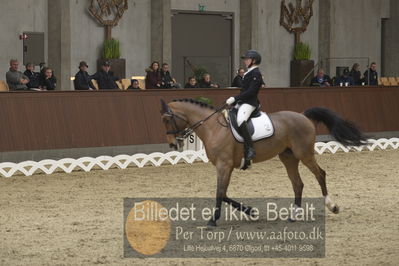 Blue Hors Para Dressur 2018
Billeder fra stævnet
Nøgleord: christine marcussen;fairlane