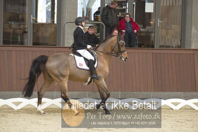 Blue Hors Para Dressur 2018
Billeder fra stævnet
Nøgleord: christine marcussen;fairlane